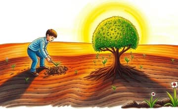 Aposentadoria Dos Sonhos: Comece a Semear Hoje para Colher Amanhã