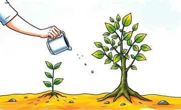 Transforme Seus Hábitos, Transforme Suas Finanças